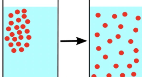 <p>movement of <strong>paticles against a concentration gradient </strong></p><p><mark data-color="#f5ff95" style="background-color: rgb(245, 255, 149); color: inherit;"><span data-name="star" data-type="emoji">⭐</span></mark><mark data-color="#f5ffbc" style="background-color: rgb(245, 255, 188); color: inherit;">️particles move from</mark><strong><mark data-color="#f5ffbc" style="background-color: rgb(245, 255, 188); color: inherit;"> high → low concentration</mark></strong><mark data-color="#f5ffbc" style="background-color: rgb(245, 255, 188); color: inherit;"> <span data-name="star" data-type="emoji">⭐</span></mark>️</p>