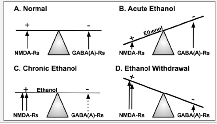 <p>Explain alcohol use and this image</p>