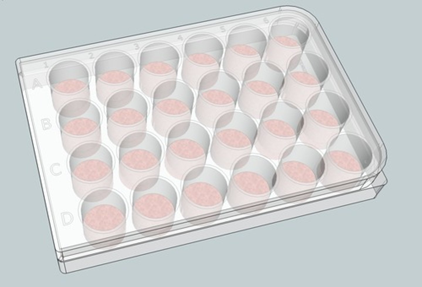 <p>Dilution tray/well plate</p>