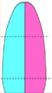 <p>What stage of the DTM is this?</p>