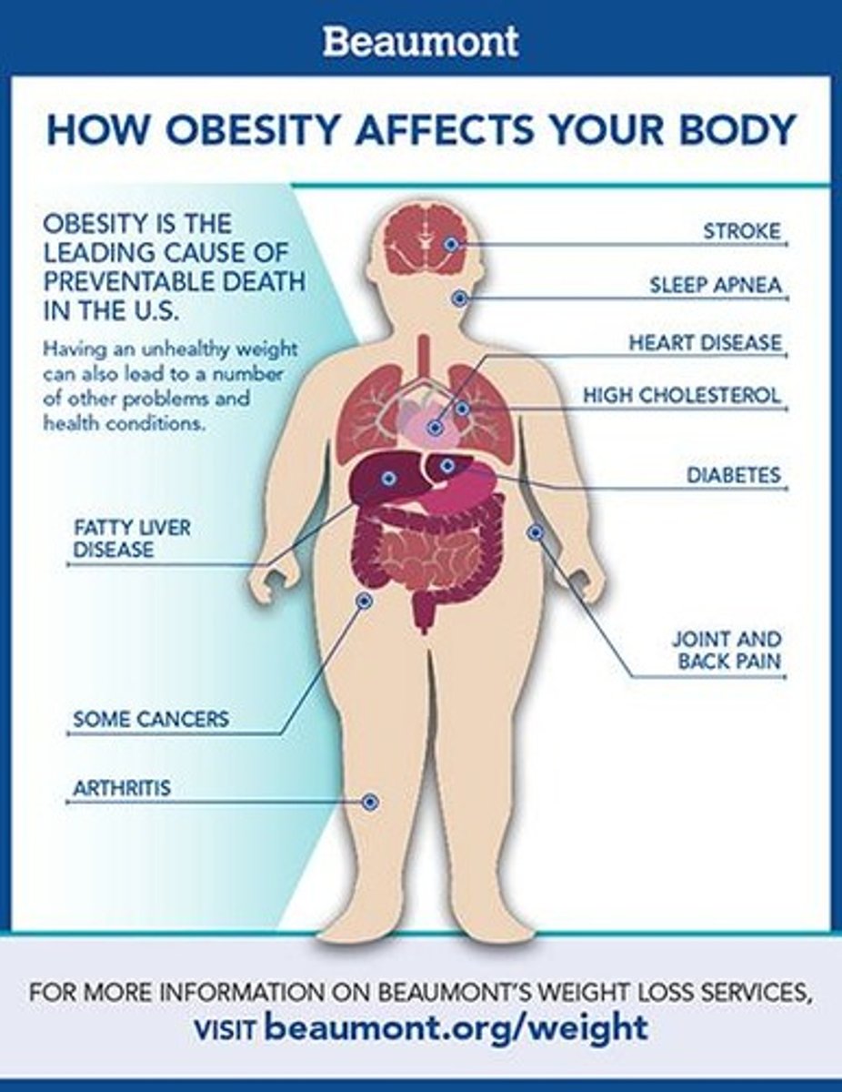 <p>Increased all-cause mortality, hypertension, high cholesterol, type 2 diabetes, and various cancers.</p>