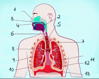 <p>4</p>
