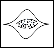 <p>What step of solar system formation is this?</p>
