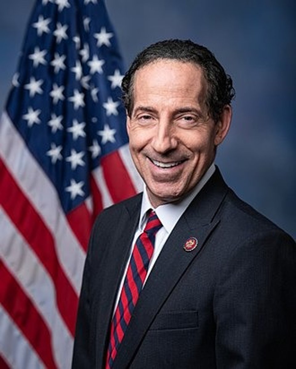<p>Jamie Raskin (MD-08)</p>