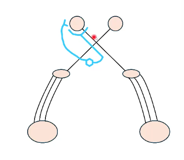 <p>name this neurolocalization test</p>