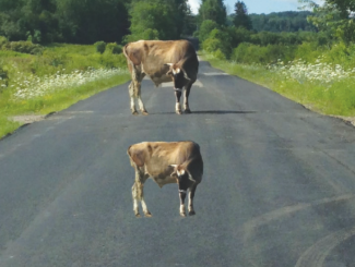 <p>2 horizontal lines are drawn (1 above the other)</p><p>both lines are on top of 2 inward angled vertical lines</p><p>top line looks longer </p><p></p>