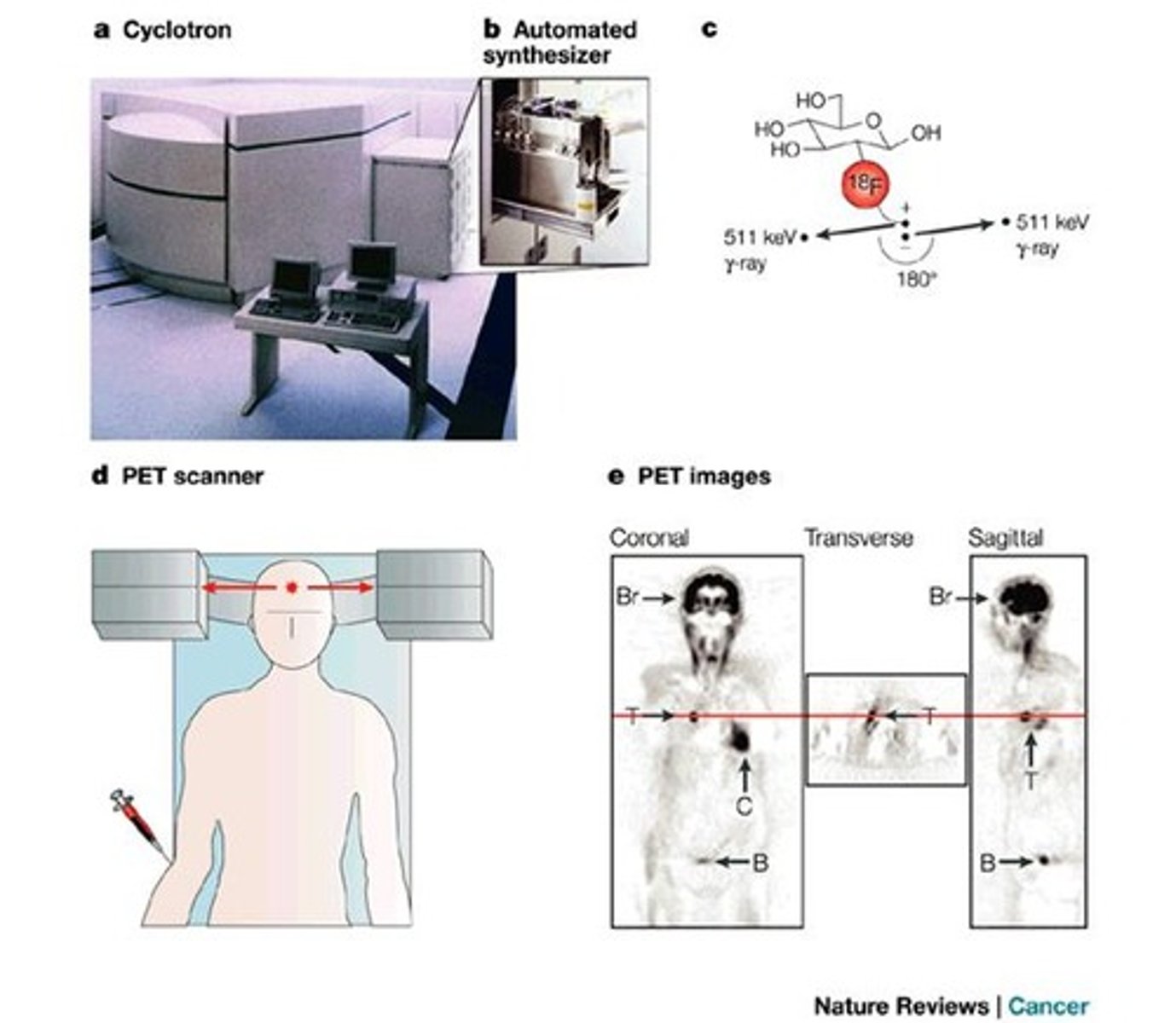 <p>An imaging technique that uses physiological, metabolic, and biochemical processes in the body for image formation, rather than just anatomical structure.</p>