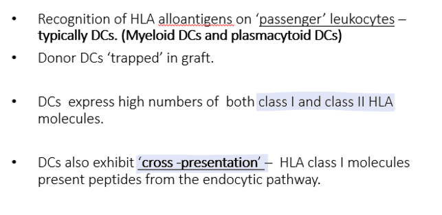 <p>Donor DCs (“passenger” leukocytes) express high levels of <strong>MHC I and MHC II </strong>molecules which are recognised by T cells and activate CD4+/CD8+ T cells</p><p>DCs also exhibit “cross-presentation” where endogenous Ag peptides can be expressed on <strong>HLA Class I</strong> molecules</p><p></p>