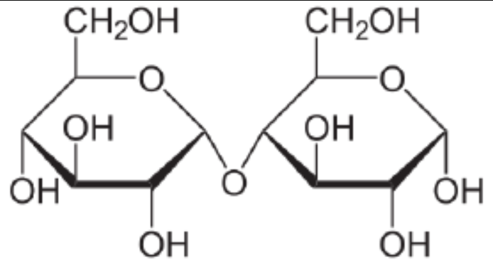 <p>An example of a disaccharide that is found in beer. Made up of glucose + glucose.</p>