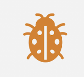 <p>Lyme Disease - Definition</p>