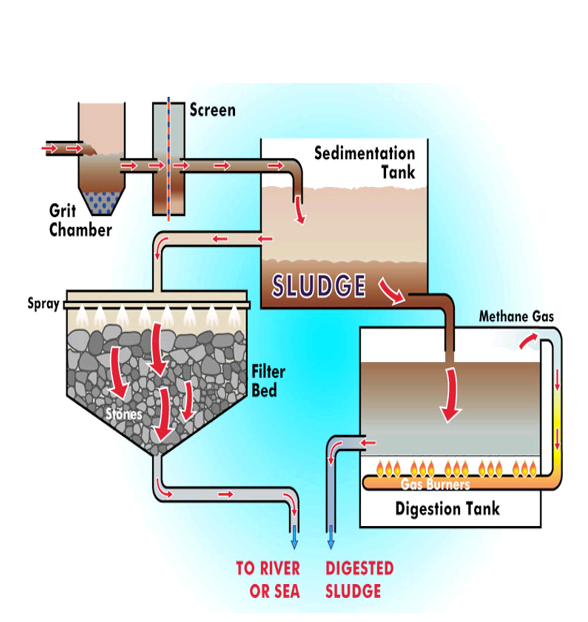 <p>Explain this diagram</p>