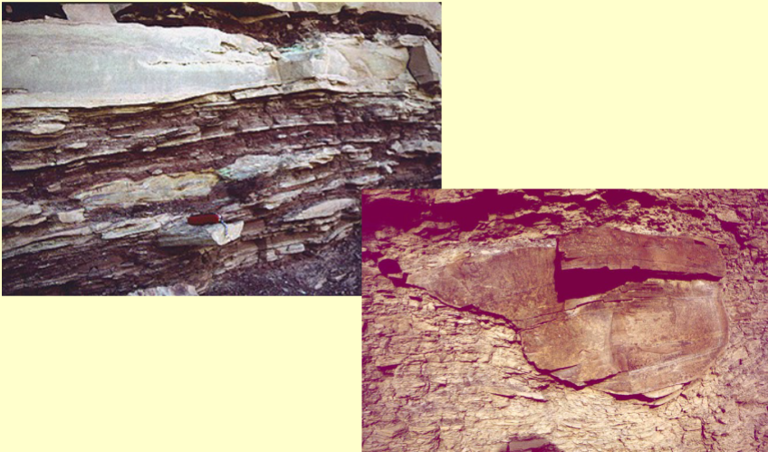 <p>Subaqueous, often associated with storms. Found in marine shelf/lake environments</p>