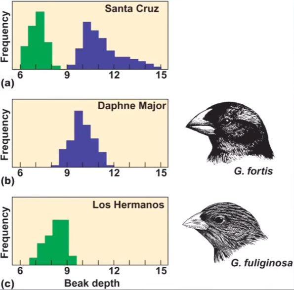 <p>what is being illustrated?</p>