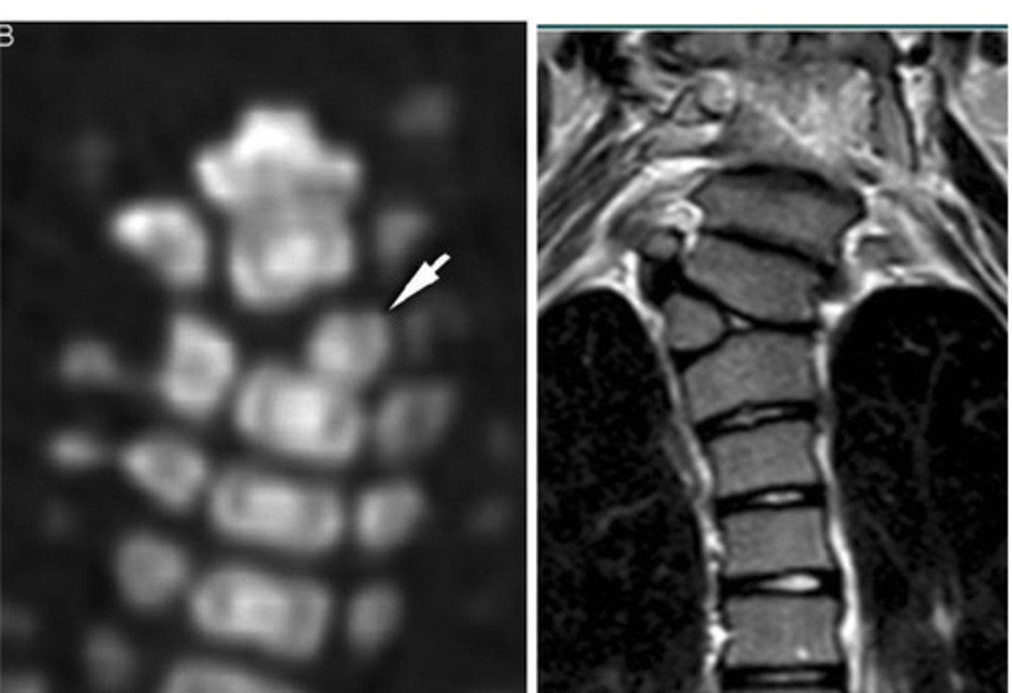 <p>What are we looking at here?</p>