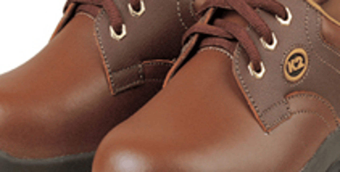 <p>Brown color</p>