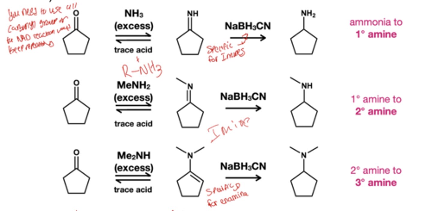 <p>NABH3CN</p>