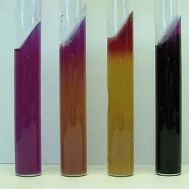 <p><strong>pH indicator </strong>in this medium</p>