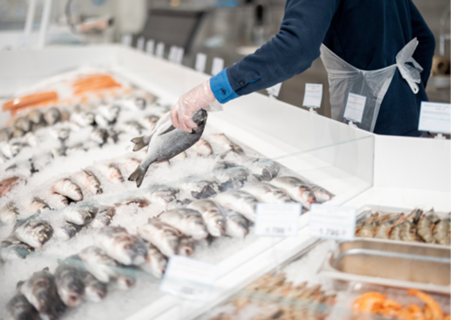 <p>a shop where you can buy fish and seafood.</p>