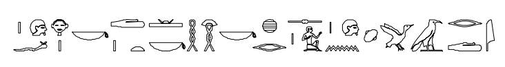 term image