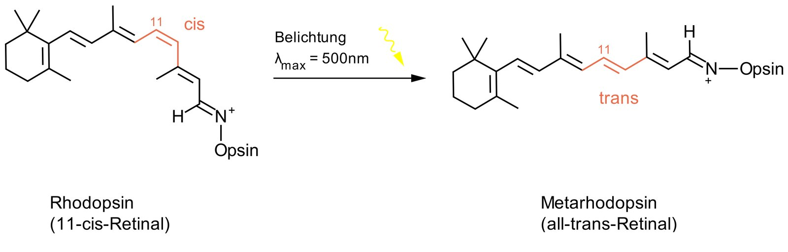 <p>A. Cis/trans isomers (geometric isomers)</p>