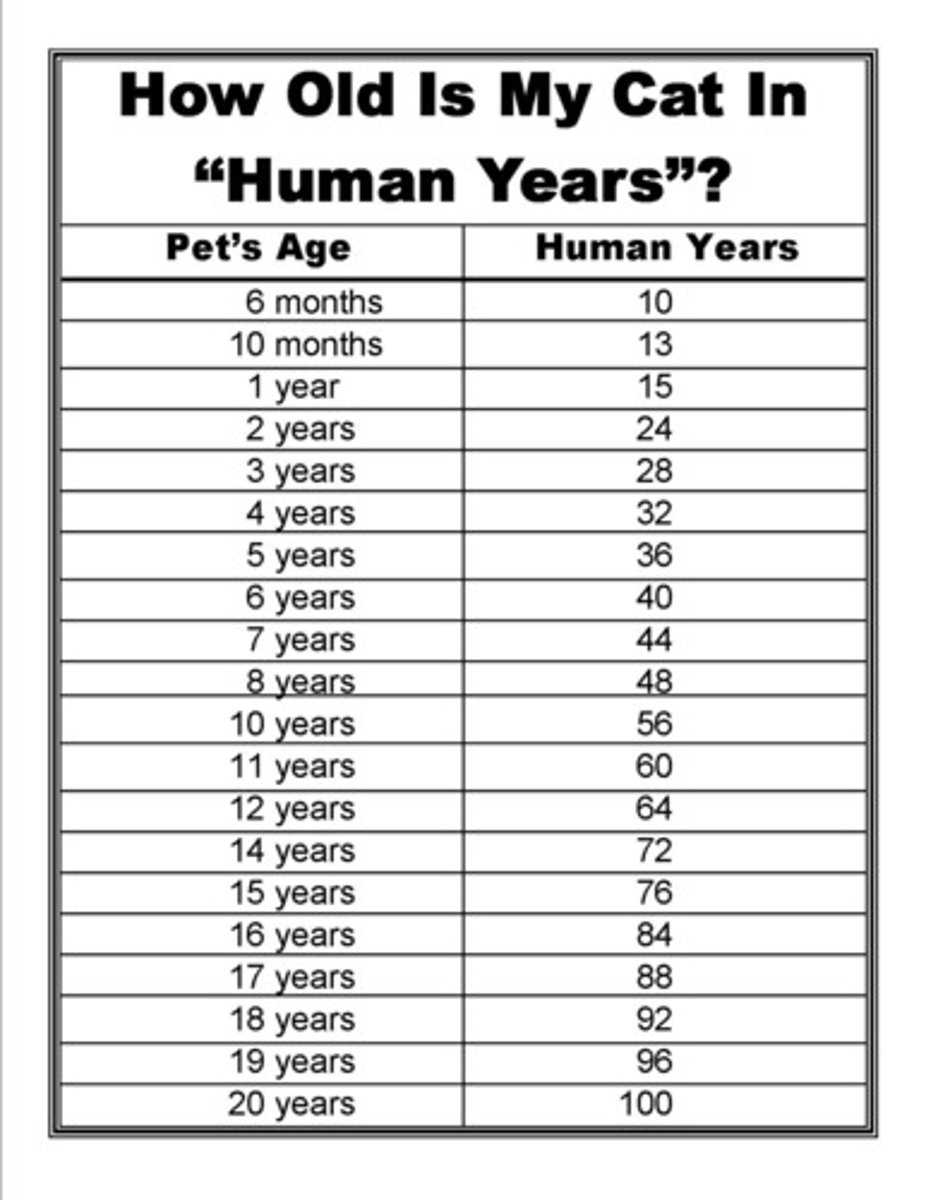 <p>How old is ...?</p>