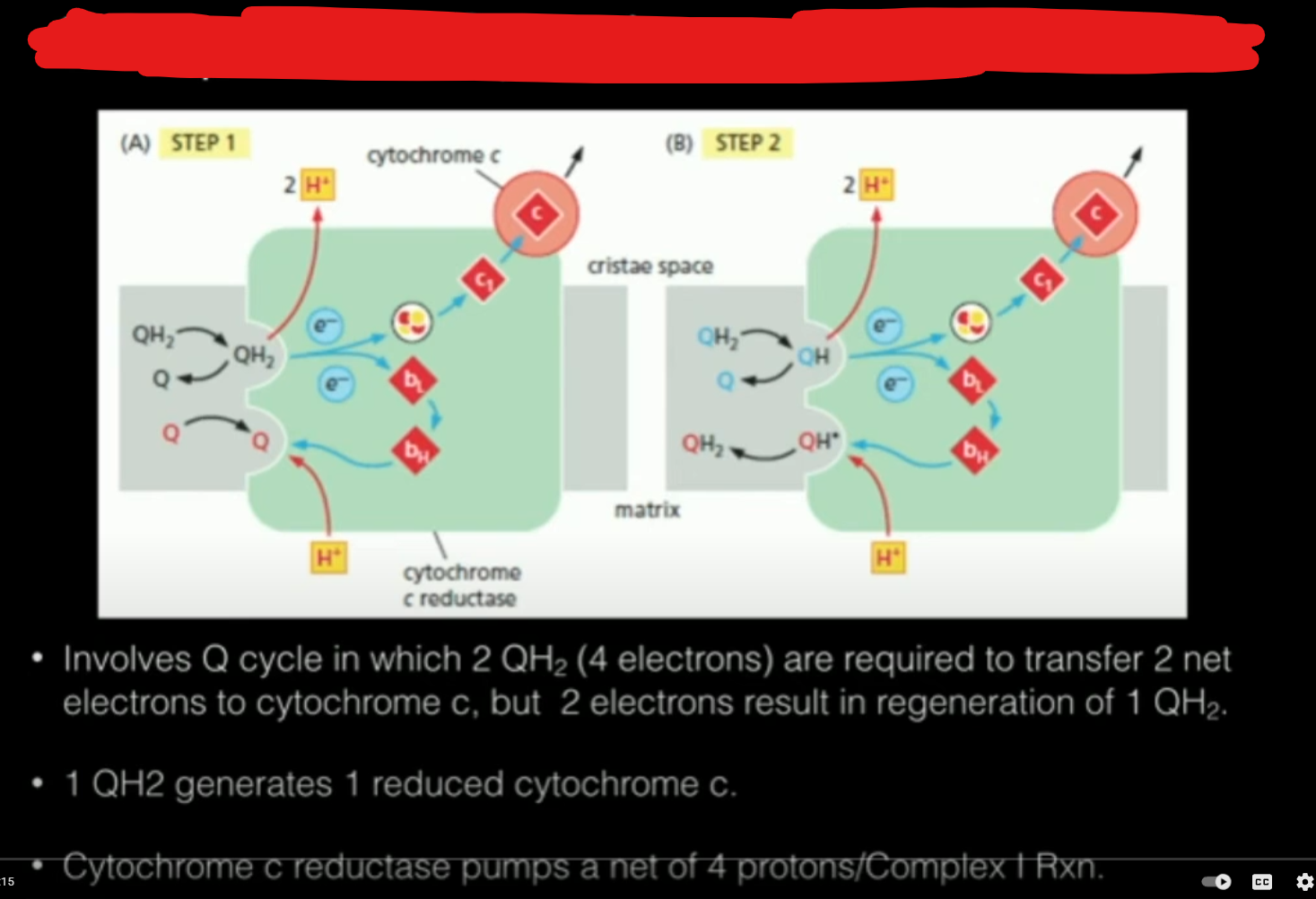 <p>Contains Fe-S proteins and cytochromes. These send electrons to complex 4. In this complex electrons are passed from 1 cytochrome to an Fe-S protein to another cytochrome until they are transferred out of the complex to another mobile electron carrier (cytochrome C). This ____ also pumps proteins into the intermembrane space.</p>