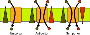 <p>Move two molecules in opposite directions</p>
