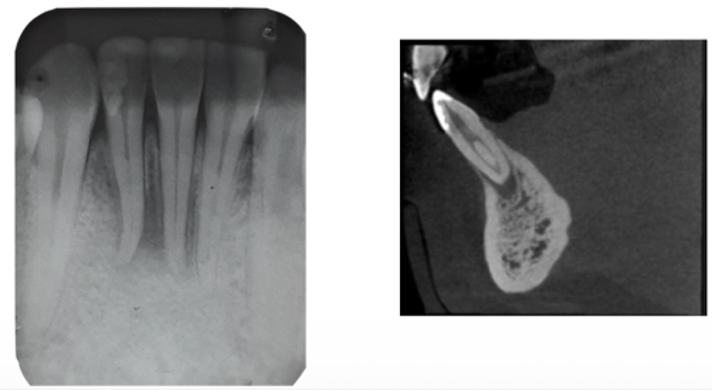 <p>ID the problem:</p>