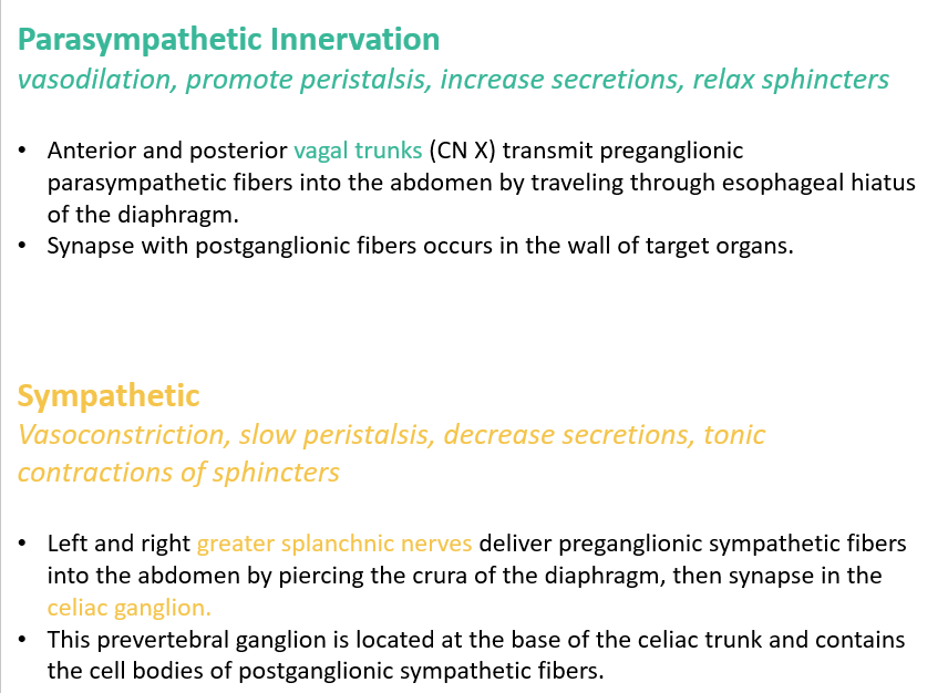 <p>The <strong>foregut </strong>is innervated by which nerves? What are their <strong>functions?</strong></p>