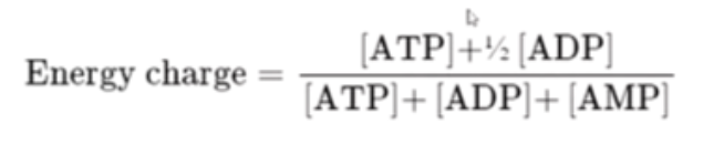 <p>AMP will make the key change to this (as ATP, ADP on both sides of the fraction)</p>