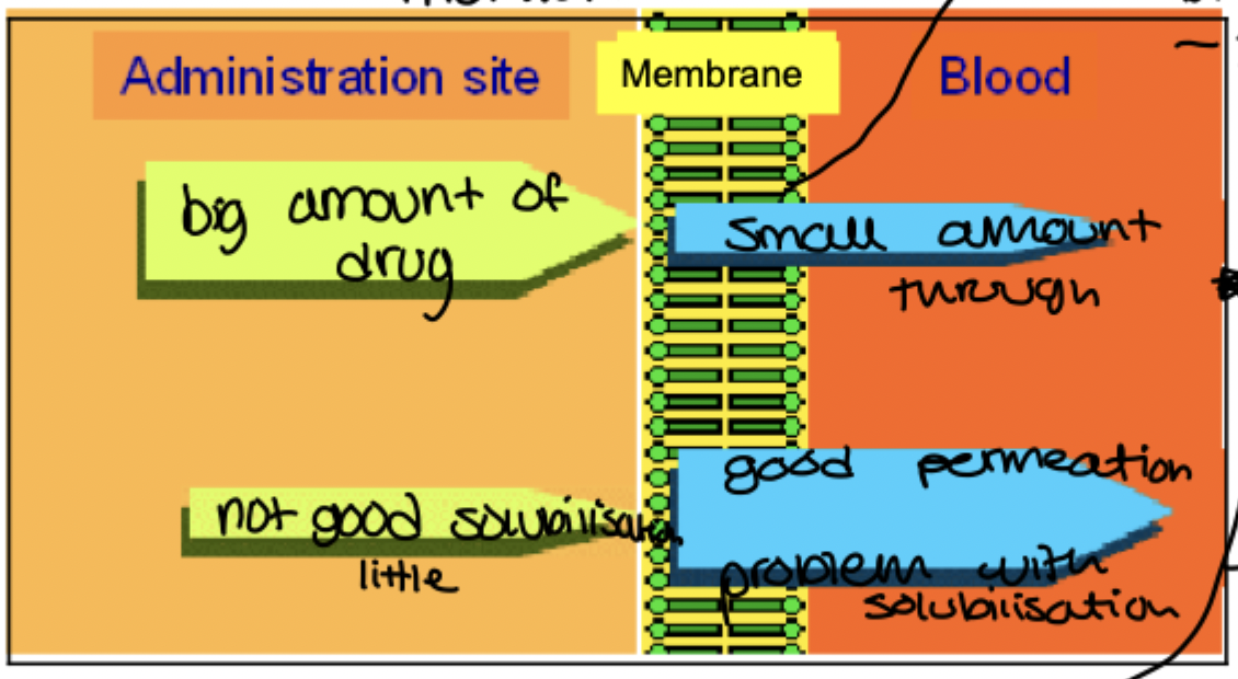 <p>Explain what is shown on the graph here</p>