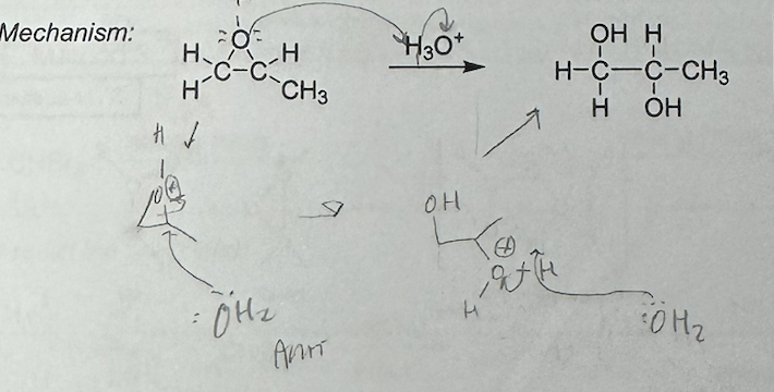 <p>markovnikov</p><p>anti addition of OH+OH</p>