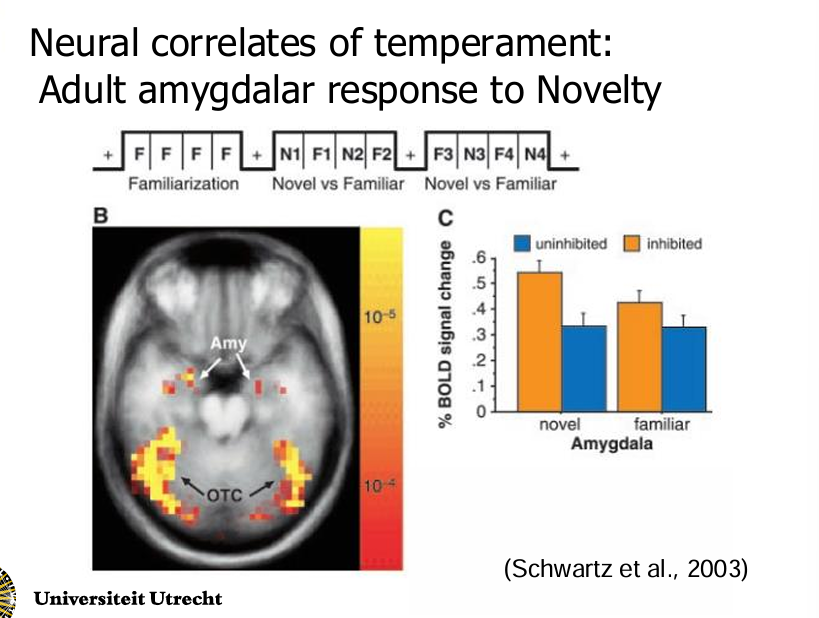 <p>What did this chart show about the amygdala activity in inhibited babies vs. uninhibited babies?</p>