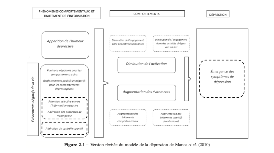 ->Modèle intégratif issu des théories comportementales et de la psychopathologie cognitive

-Principales hypothèses : 
• Rôle du stress dans l’apparition d’un épisode dépressif
• Diminution des R+ et/ou augmentation des punitions
• Implication de processus cognitifs spécifiques : biais d’attention, rumination mentale, diminution sensibilité à la récompense

-Approche thérapeutique : 
• Activation comportementale = ré-introduire des activités renforçantes et diminuer les évitements comportementaux 
• Traitement des ruminations mentales