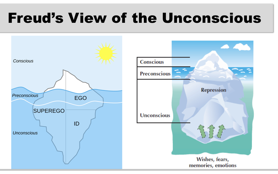 <p>• Freud is a major reason we started thinking about the “unconscious” in the first place</p><p>• Freud imagined a very large role for the unconscious mind.</p><p>• Not only does the unconscious contain a lot of stuff but it also guides our behavior in a whole bunch of ways, according to Freud.</p>