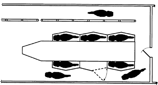 <p>Handle cows one at a time so a slow-milking cow does not delay the completion of milking and release of other cows in the parlor. </p><p>These parlors are well suited to farms that take special care about observing individual cows and practice individual cow care in the parlor. </p>