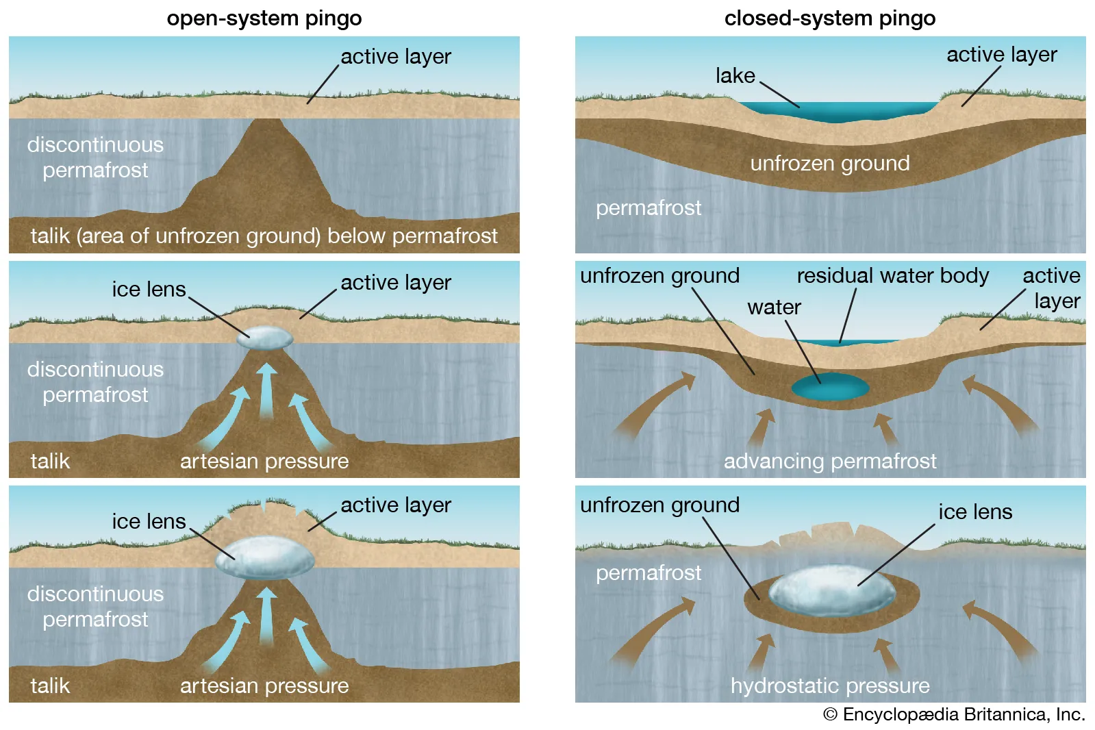 Formed by ground ice which develops during the winter months. The two types are:

* $$Open system pingos$$
  * Form in valley bottoms where the water from the surrounding slopes collects under gravity and expands under artesian pressure
  * The overlying material is force to dome upwards
* $$Close system pingos$$
  * Develop beneath lake beds where the supply of water is from the immediate local area
  * The permafrost grows during cold periods and groundwater beneath the lake is trapped by permafrost below and the frozen lake above
  * The saturated talik (unfrozen ground) is compressed by the ice around it and is under hydrostatic pressure
  * When the talik eventually freezes it forces up the the overlying sediments