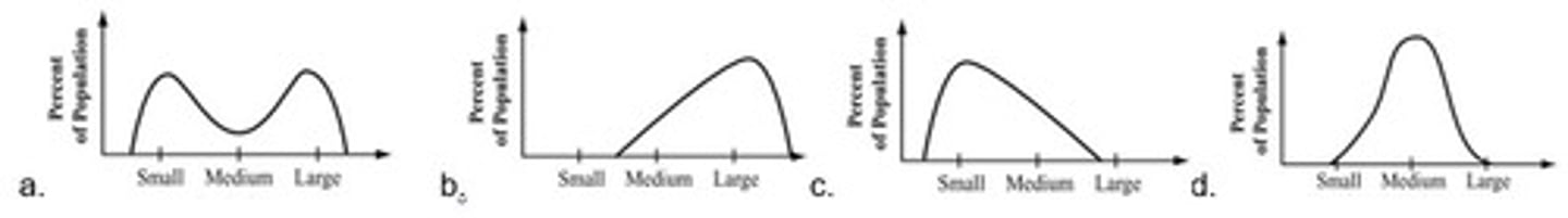 <p>A sharp reduction in the size of a population due to environmental events, leading to reduced genetic diversity.</p>