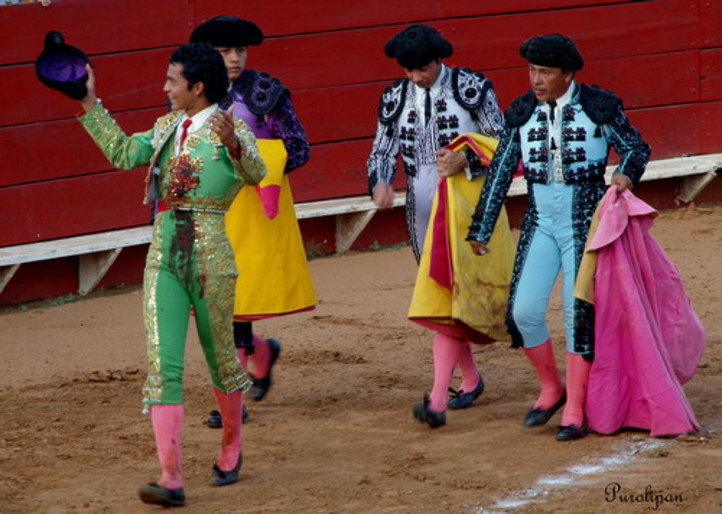 <p>bullfighter</p>
