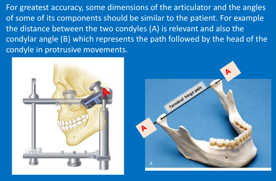 <p>A - Distance between the 2 condyles</p><p>B - Represents the path followed by the head of the condyle in <strong>protrusive movements</strong></p>