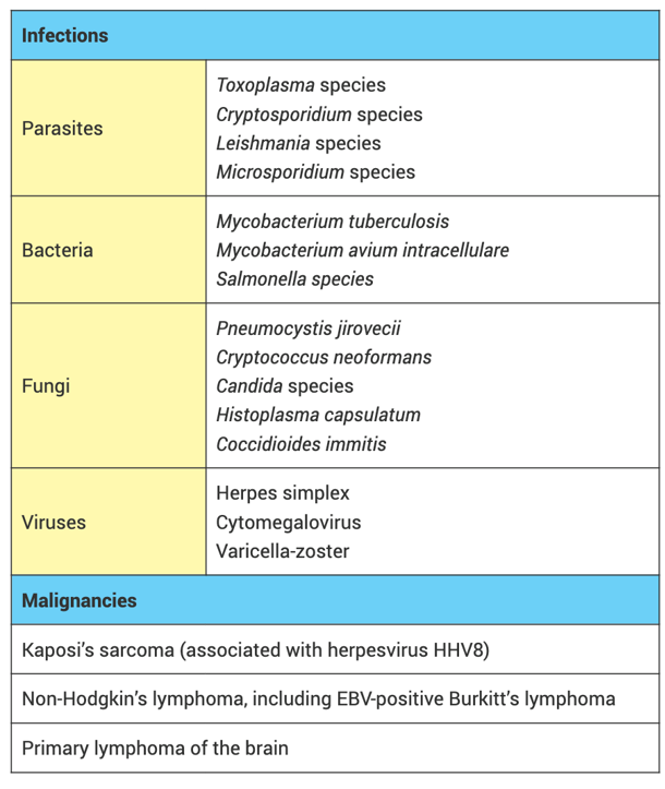 <p>Listed are the most common opportunistic infections that kill AIDS patients in developed countries. Listed separately are the malignancies, which are the consequence of inadequate immune responses to infectious agents.</p>
