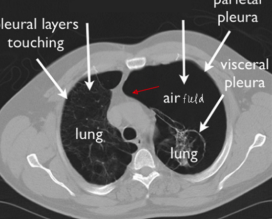 <p>diagnosis</p>