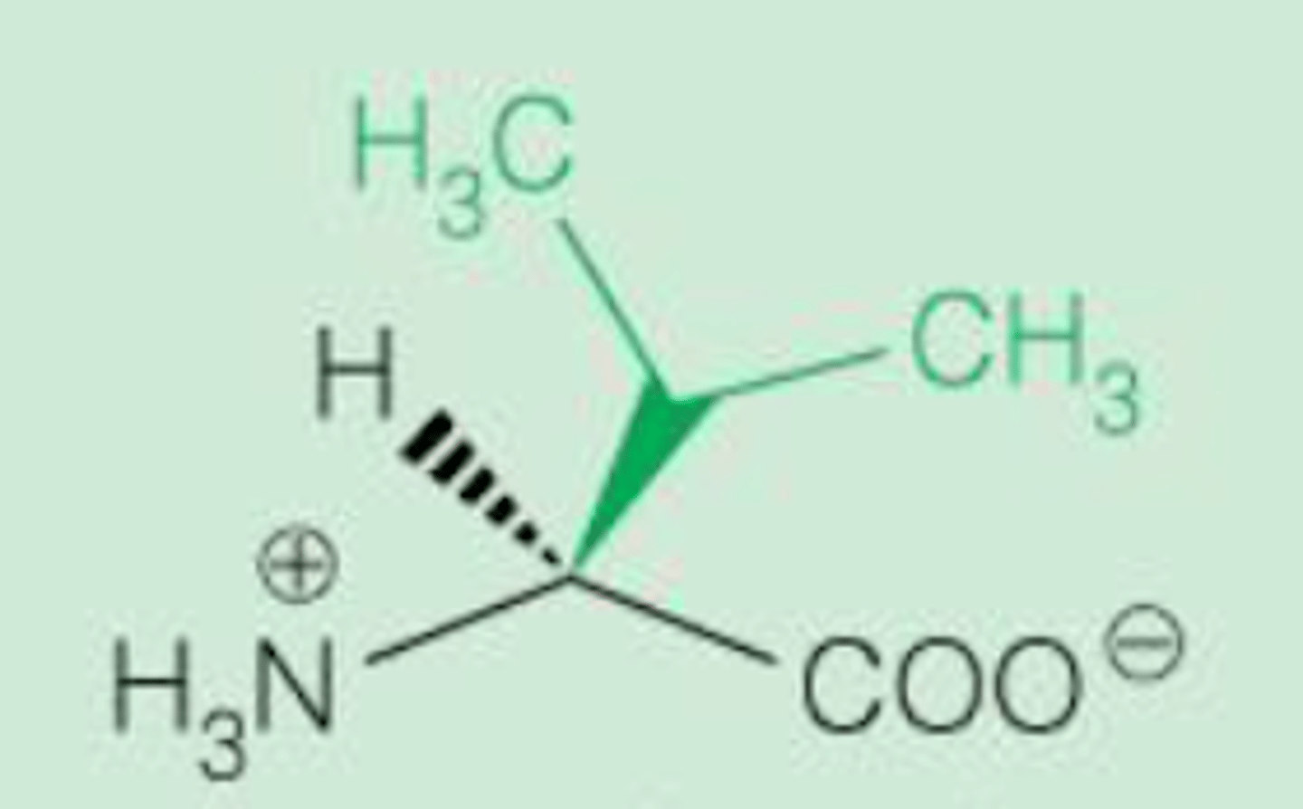 <p>Non-polar aliphatic</p>