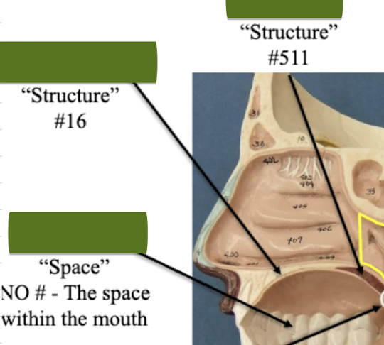 <p>Structure #16</p>