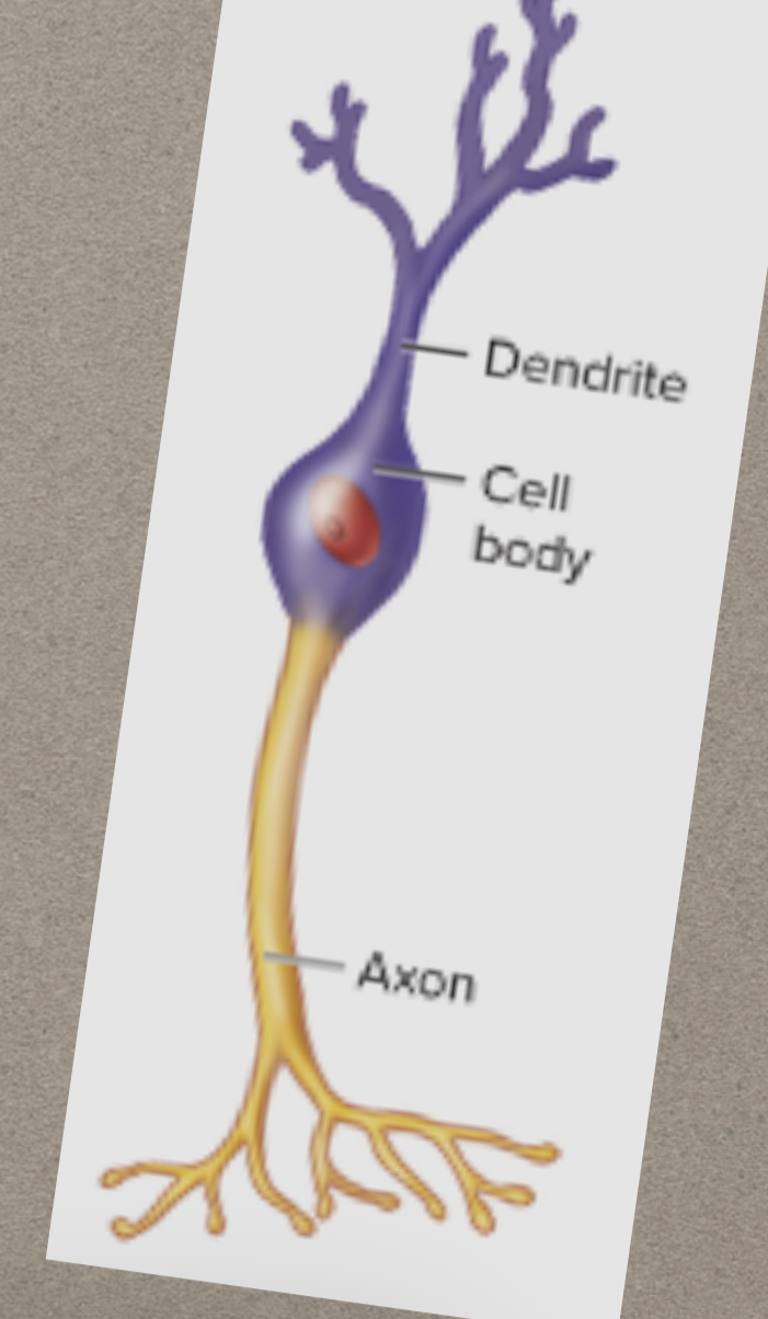 <p>What is this?</p>