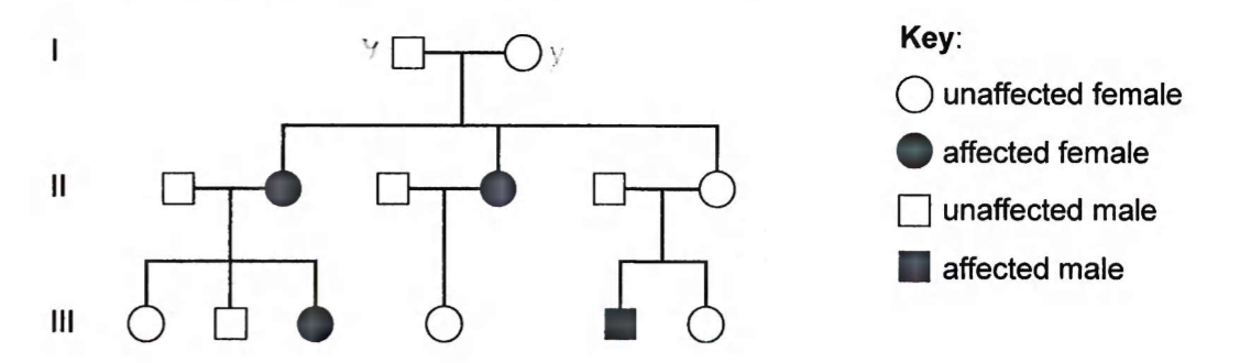 <ol start="13"><li><p>Nonsyndromic Hearling Loss and Deafness is an inherited cause of deafness in humans. The pedigree chart shows this inheritance in a family. Where is the allele found in family members with this condition?</p></li></ol><p></p>