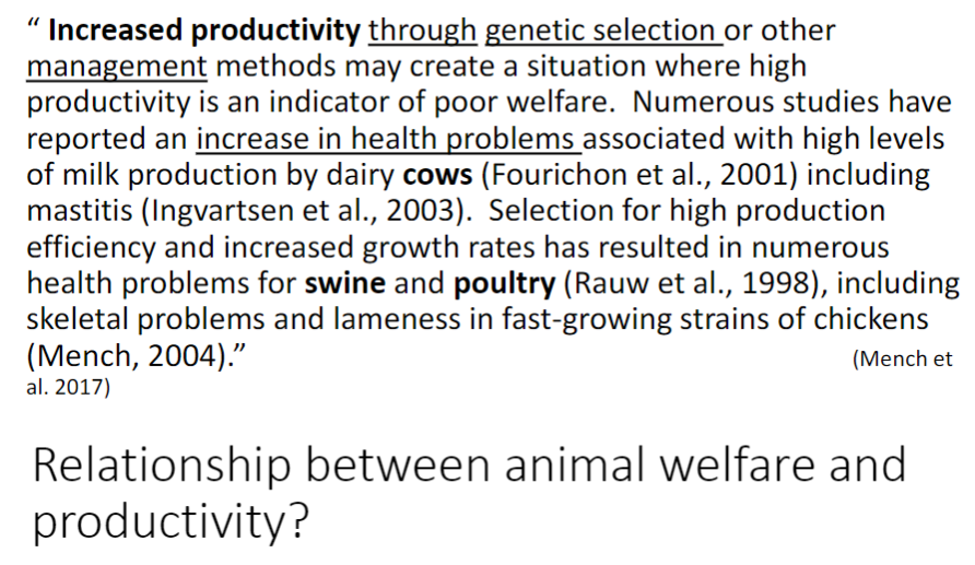 <p><strong>High Productivity ā Good Welfare</strong><br>ā<strong>Increased productivity</strong> through <strong>genetic selection</strong> or intensive <strong>management</strong> can sometimes indicate <strong>poor welfare</strong></p><p><strong>Examples in Dairy Cows</strong><br>āHigh <strong>milk production</strong> is associated with increased <strong>health problems</strong>, such as <strong>mastitis</strong></p><p><strong>Examples in Swine and Poultry</strong><br>āSelection for <strong>high growth rates</strong> and <strong>production efficiency</strong> has led to <strong>health issues</strong><br>āāSkeletal problems and <strong>lameness</strong> are common in <strong>fast-growing chicken strains</strong></p><p><strong>Key Concept</strong><br>āHigh <strong>productivity</strong> does not always reflect good <strong>welfare</strong>; intensive production can compromise <strong>animal health</strong> and <strong>quality of life</strong></p>