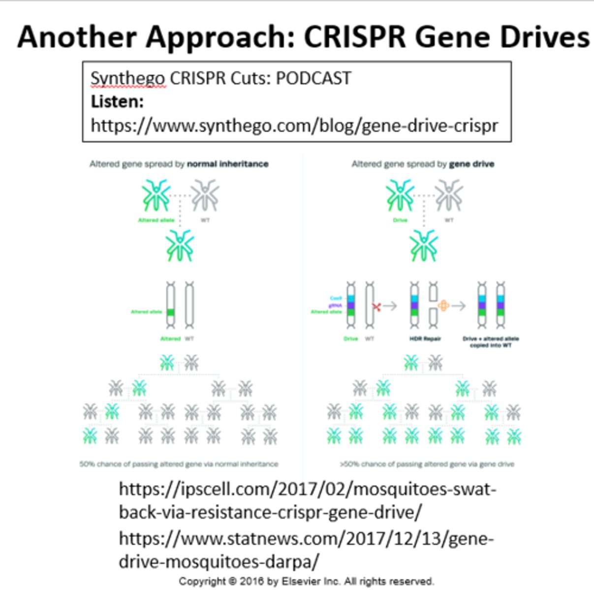 <p>Spreads the edited gene plus the CRISPR system to the other chromosome so it spreads more quickly through a population (like in the wild); quicker than normal inheritance</p>