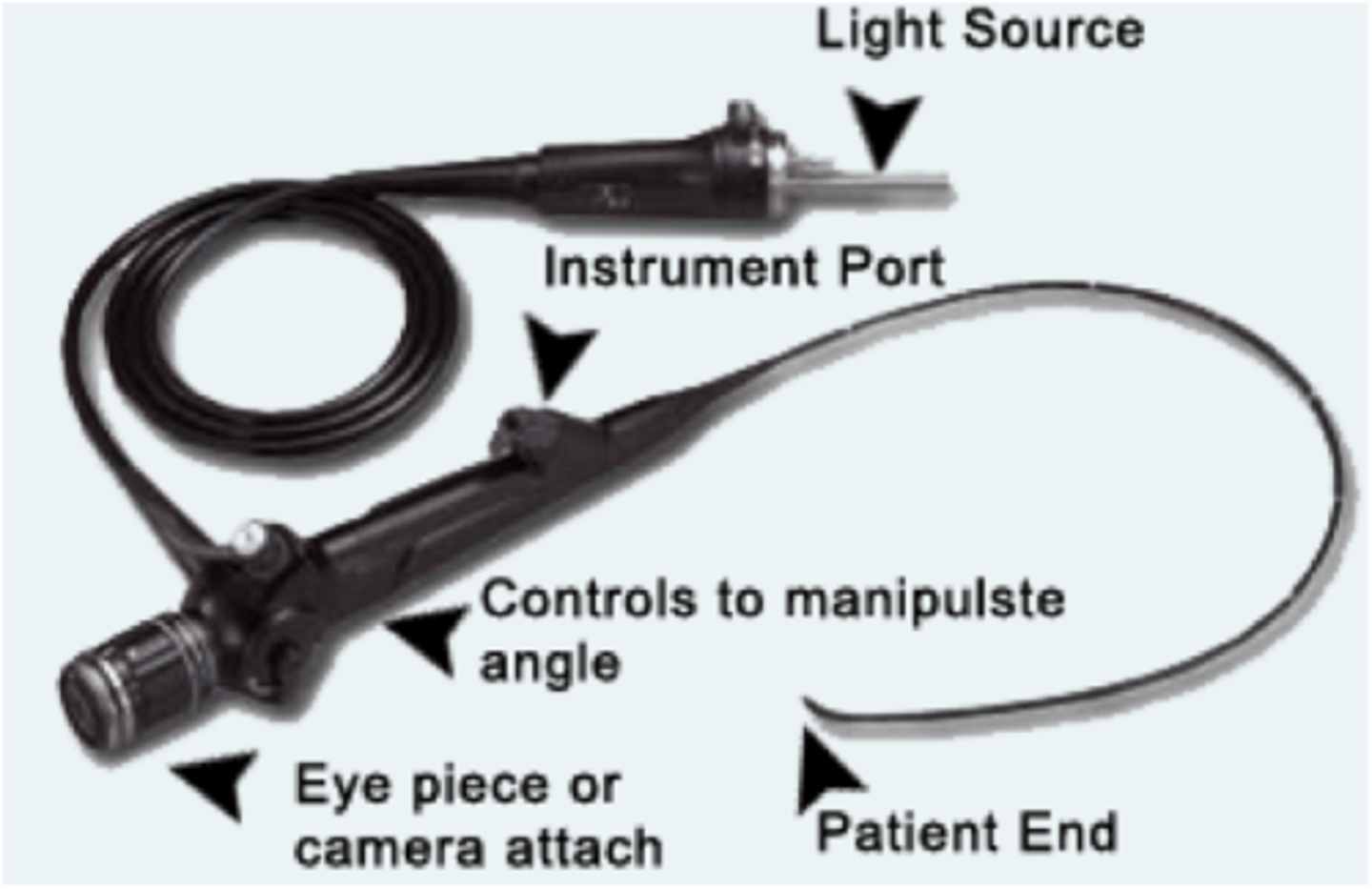 <p>the most complex type of endoscope is the</p>