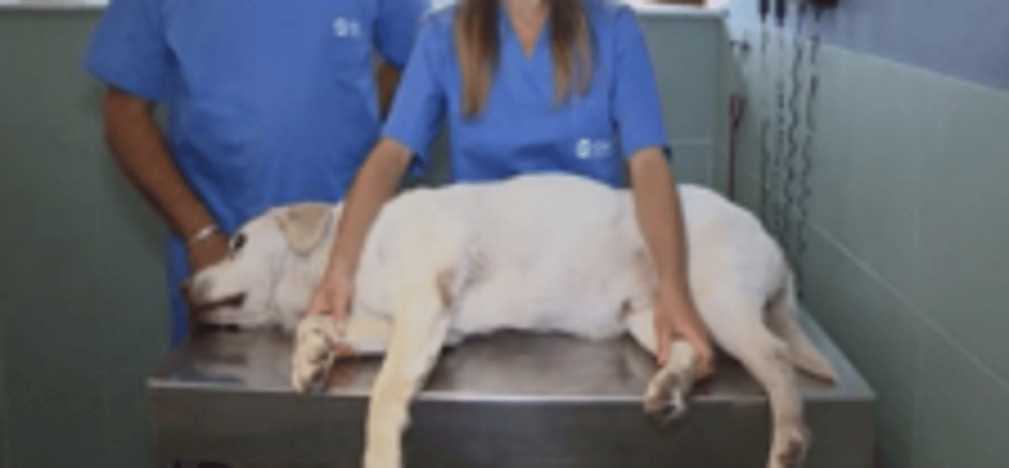 <p>what position ?</p>